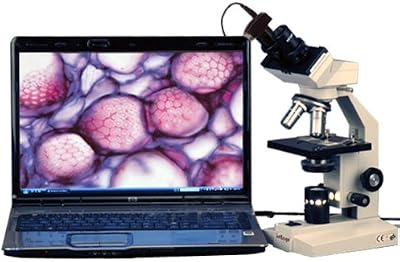 AmScope B100-5M Digital Compound Binocular Microscope, 1000X