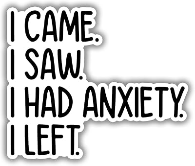 (3 pcs) I Came I Saw I Had Anxiety I Left Sticker for Tumbler Funny Sarcastic Motivational Phrase Inspirational Quote Vinyl Decal for Kindle Laptop Water Bottle Phone Hard Hat - 3x2.6