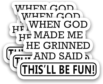 (3Pcs) When God Made Me He Grinned and Said This’ll Be Fun Sticker Funny Sarcastic Saying Stickers, Humor Quote Vinyl Decal for Laptop Water Bottle Phone Case Scrapbook, 3" x 2.2''