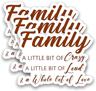 (3Pcs) Funny Family A Little Bit of Crazy Sticker Family Inspirational Vinyl Decals Meaningful Birthday Gift for Mom Dad Brother Sister Grandma, Waterproof Stickers for Laptop Water Bottle, 3" x 2.3 "